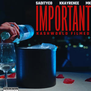 Important (feat. Kkayrenee & Mk) (Explicit)
