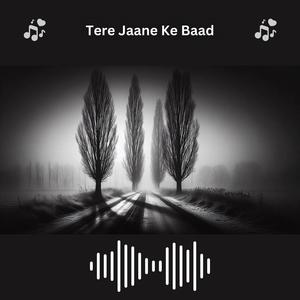 Tere Jaane Ke Baad