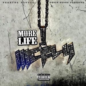 More Life (Explicit)