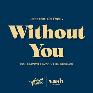 Without You (LRS Remix Extended)