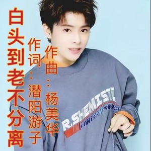白头到老不分离【男版】
