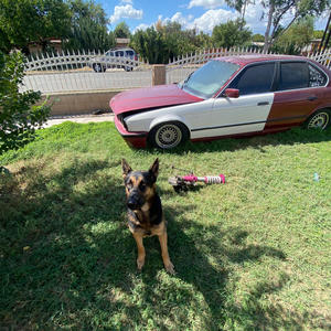 biggestlieiveeverheard