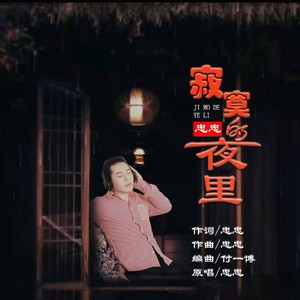 寂寞的夜里