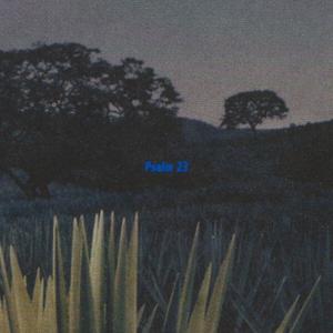 Psalm 23