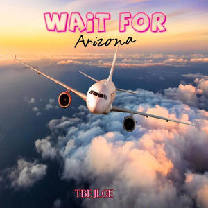 Wait For Arizona (Explicit)