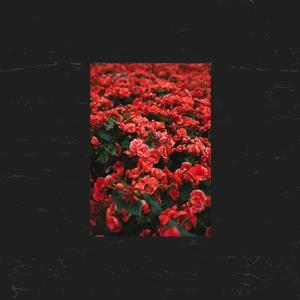 FLOWERS (Explicit)