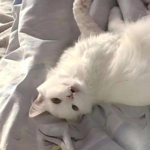 люблю жизнь