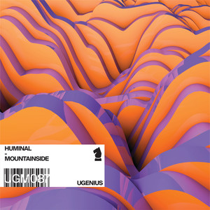 Mountainside (Hicky & Kalo Remix)