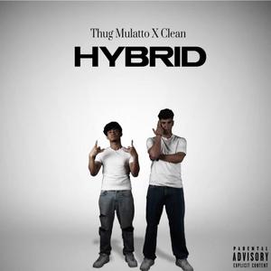 HYBRID (Explicit)