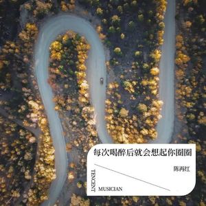 每次喝醉后就会想起你