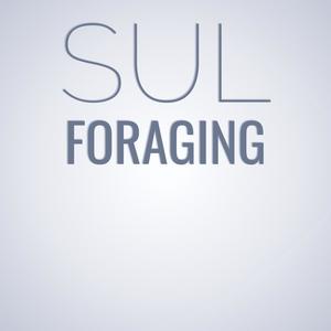 Sul Foraging