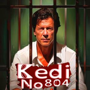 Kedi No.804 । New Imran Khan song । 8 February 2024 Election ।