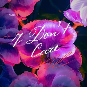 I Don't Care