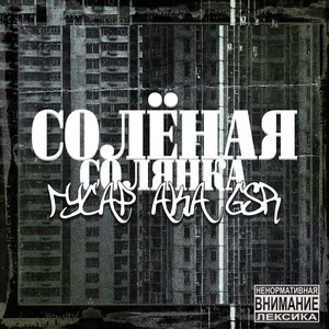 Солёная солянка (Explicit)