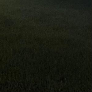 UNDERGROUND (Explicit)