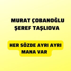 Her Sözde Ayrı Ayrı Mana Var