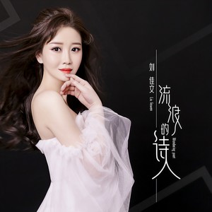流浪的诗人 (伴奏)