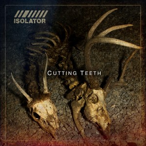 Cutting Teeth