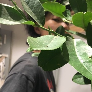 【WARM HOUSE.】Cool Kids - Echosmith(单人阿卡贝拉翻唱)