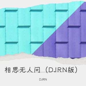 相思无人问 (DJRN remix|Remix)