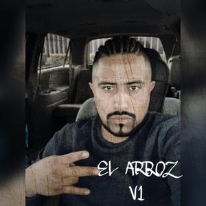 El arroz v1 (Explicit)