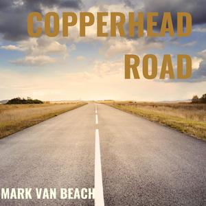 Copperhead Road (Radio Edit)