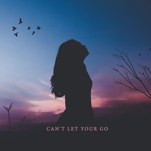 Can't Let Your Go