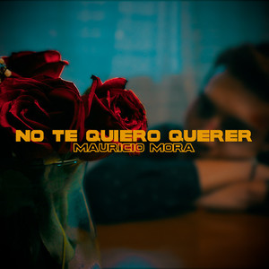 No Te Quiero Querer