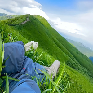 喜欢思念你 - 你唯一送我的花