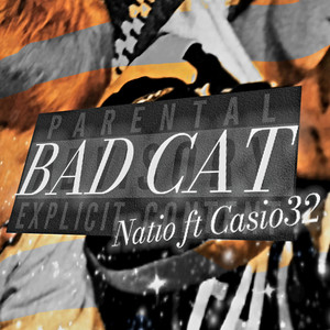 Bad Cat (Explicit)