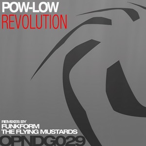 Revolution (The Flying Mustards Remix)
