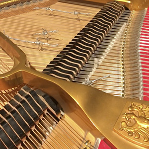 Forme uniche 1 per piano spinato