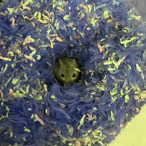 Crzy 4 U (feat. Damii2x)