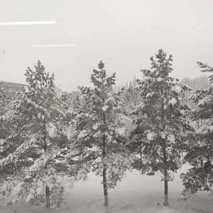 如果我不留下，你会不会跟我走?