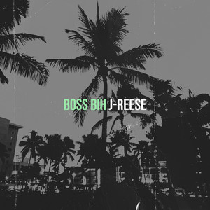 Boss Bih (Explicit)