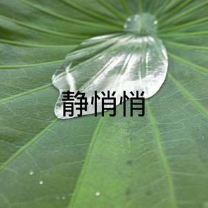 静悄悄