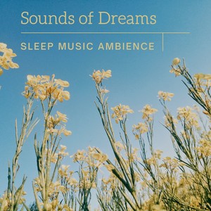 Sounds of Dreams - Sleep Music Ambience