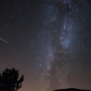 Les étoiles du silence