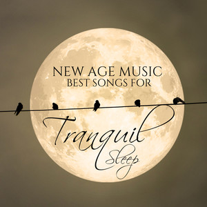 New Age Music Best Songs for Tranquil Sleep: Anti Stress Songs, Deep Night, Stress Relief, Deep Sleep, Insomnia, Sounds of Soothing Piano, Mother Nature