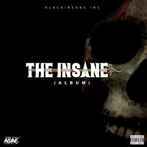 THE INSANE ALBUM