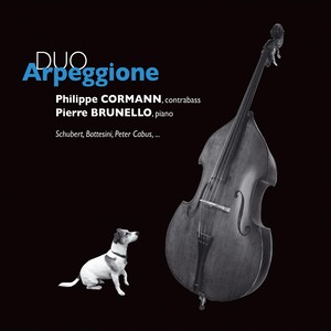 Duo Arpeggione