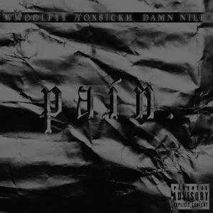 PAIN.(feat. Wwoolfyy)[Slowed + Reverb](Slowed) (Explicit)
