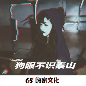 狗眼不识泰山封面