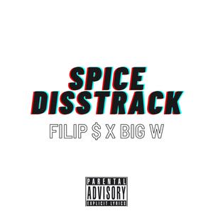 Spice Disstrack (feat. Big W) (Explicit)