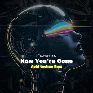Now You're Gone (Acid Techno Speed Up)