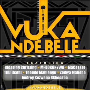 Vuka Ndebele(feat. Zodwa Mabena, Thulibathi, MaCasset, Mhlokonywa Ka Bungela, Audrey Kozwana Skhosana & Blessing Christing)