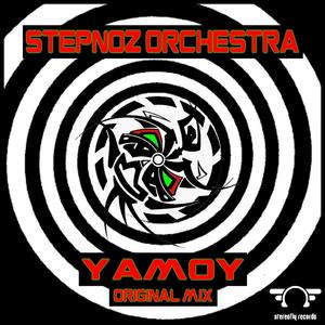 Stepnoz Orchestra