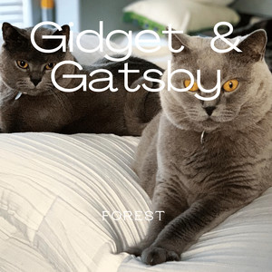 Gidget & Gatsby