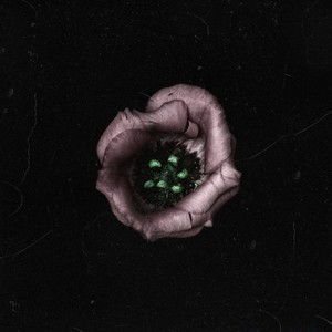 Destroyed me (Remix)