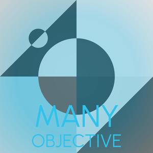 Many Objective